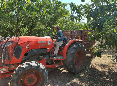 ผู้อำนวยการกลุ่มพัฒนาสหกรณ์การเกษตร 2 ลงพื้นที่ติดตาม ... พารามิเตอร์รูปภาพ 9